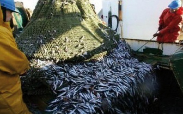 5ème round des négociations  de pêche à Rabat