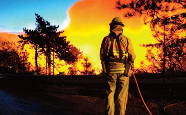 Records absolus du réchauffement climatique