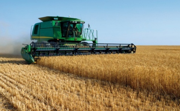Les stocks des céréales ont baissé de 16%  à fin 2012