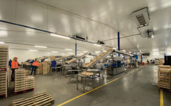 Le rêve d'émigrer attire de plus en plus de diplômés marocains