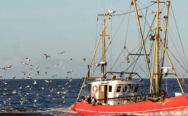Les exportations des produits de la mer sont d’ une importance majeure dans l’ atténuation du déficit commercial