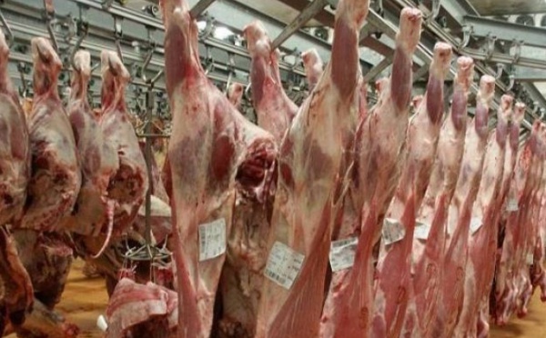 De la viande avariée dans les abattoirs de Casablanca