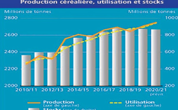 Ajustement à la baisse des estimations de la production mondiale de céréales