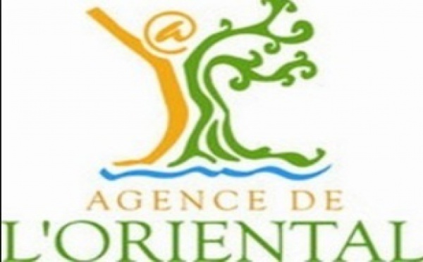 La région de l’Oriental fête le dixième anniversaire  du lancement de l’Initiative Royale dédiée à la région