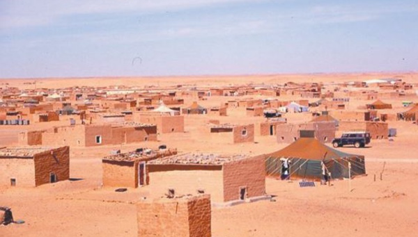 Le dompteur mordu par sa vipère