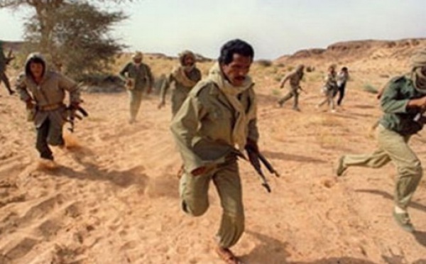 700 membres du Polisario parmi les terroristes du Nord Mali