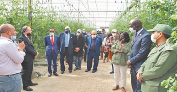 Des ambassadeurs accrédités au Maroc saluent le niveau de développement de la région de Guelmim-Oued Noun