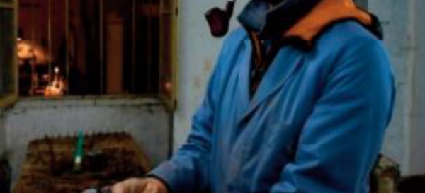 La bruyère de Tabarka, trésor du seul artisan pipier de Tunisie