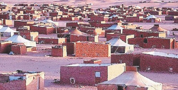 L'année de tous les échecs