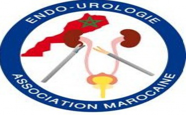 24ème congrès mondial de vidéo-urologie