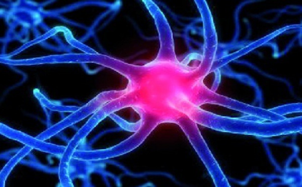 Journée mondiale de la maladie de Parkinson