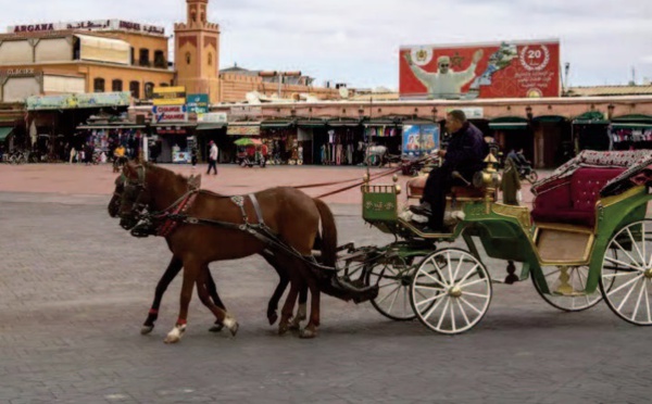Entre incertitude et espoir, les guides touristiques endurent l’ arrêt du secteur