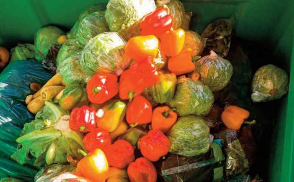Le gaspillage alimentaire, une grosse calamité du 21ème siècle