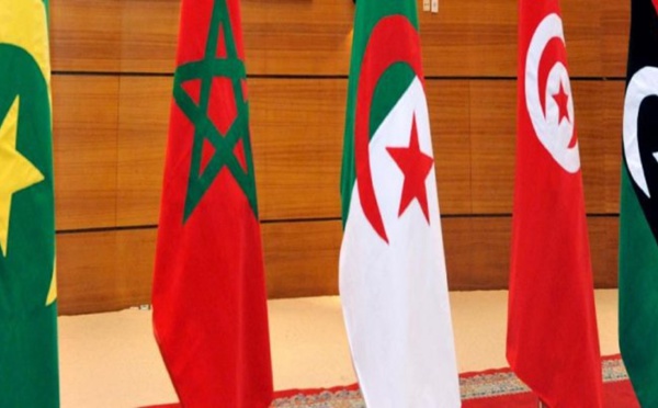 ​Coup d’envoi d’une exposition artistique virtuelle internationale en soutien au projet du grand Maghreb
