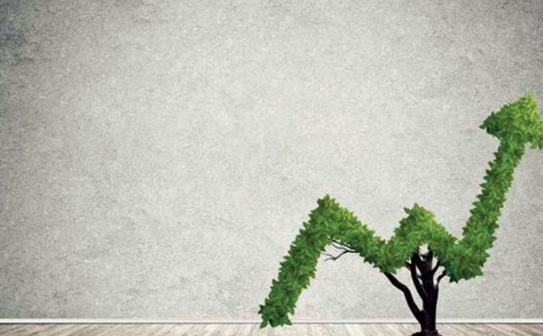 Relance post-Covid: Le CMC opte pour une croissance verte
