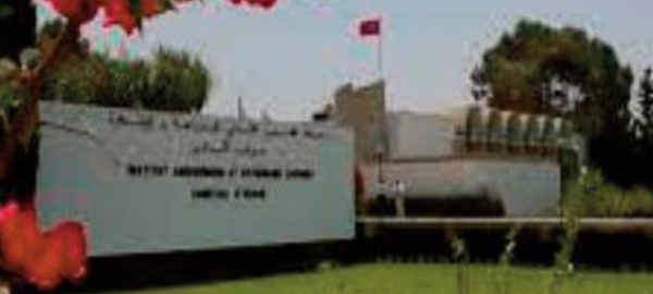 Focus à Rabat sur les opportunités d'investissement dans le secteur agro-alimentaire