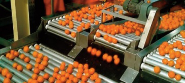 Les industries agricoles et alimentaires ont prouvé leur résilience