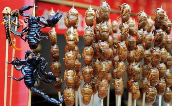 Et si les insectes repoussaient le fléau de la famine ?