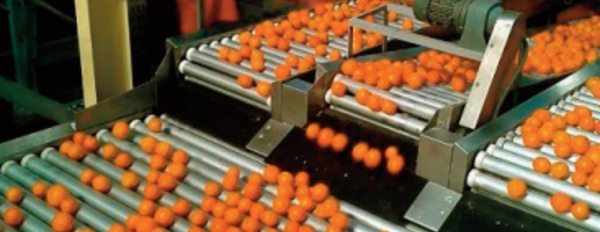 4,5 MMDH programmés en soutien aux investissements privés dans le secteur agricole