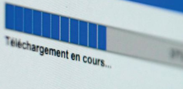 Attaqués pour contrefaçon par des éditeurs, ils plaident l’ amour immodéré des livres
