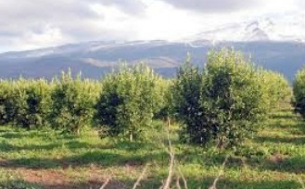 Le Maroc, un exemple à suivre en matière d’économie verte