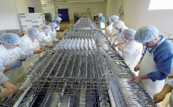 Le HCP confirme les difficultés de l’industrie marocaine