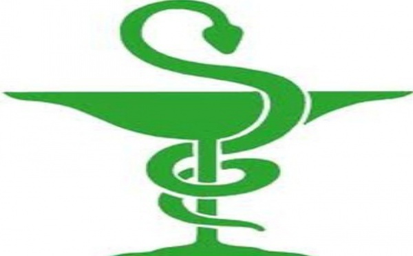 L’AMIP renforce ses liens avec l’Afrique