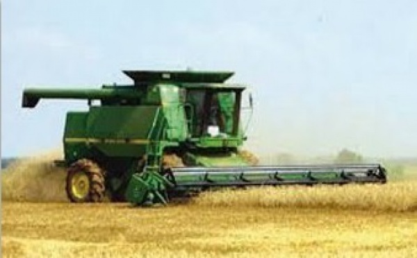 La production céréalière de Doukkala-Abda devrait augmenter de 120% en 2013