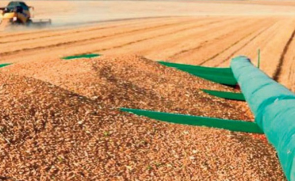 Des mesures incitatives à la commercialisation de la production céréalière