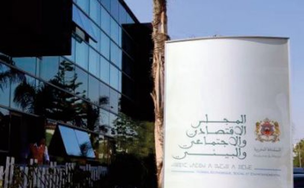 Ahmed Reda Chami : Une classe moyennene forte constitue une assurance de paix sociale et de stabilité politique