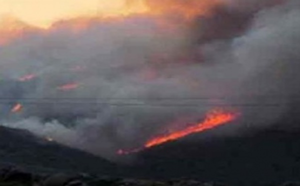 19 pompiers tués dans un incendie en Arizona