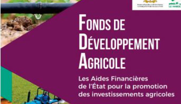 Dynamique soutenue des projets d’investissement agricole à Fès et Moulay Yacoub