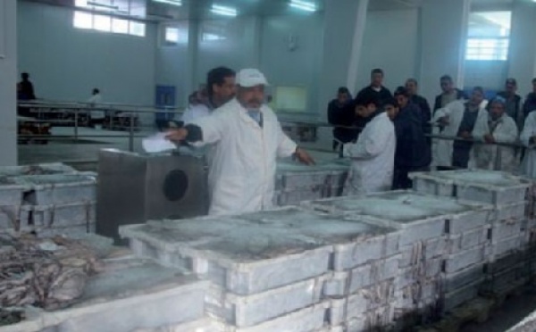 Grève à la halle aux poissons de Laâyoune