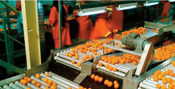 L’agroalimentaire enregistre une performance remarquable