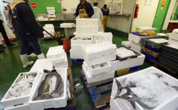 Les mareyeurs disent non à Akhennouche