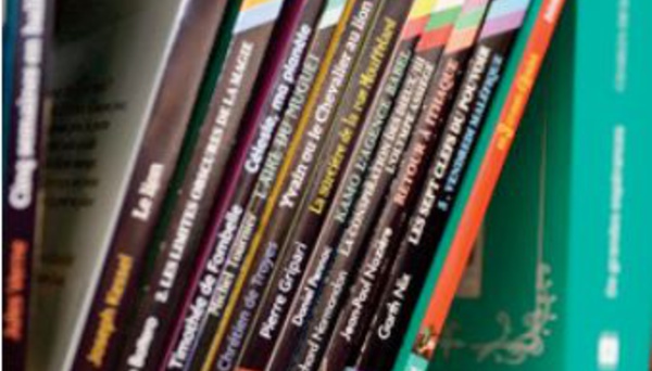 Expériences, visions et enjeux du cinéma arabe