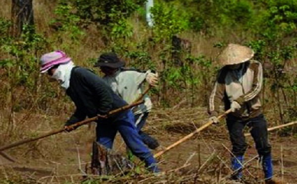 La guerre des terres fait rage du nord au sud du Vietnam