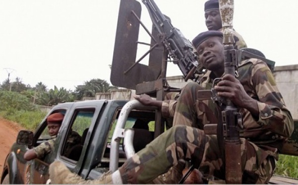 Soldats et bulldozers pour reconquérir les forêts ivoiriennes