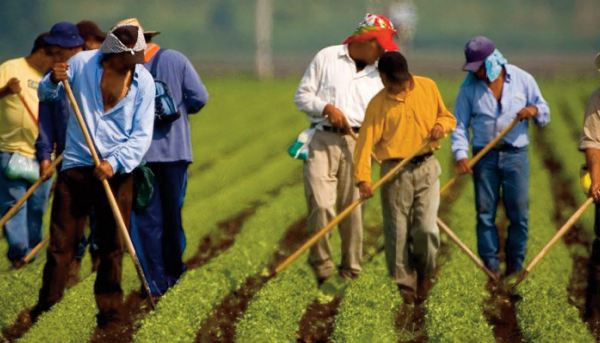 Les travailleurs migrants internationaux représentent 4,9% de la main-d’ œuvre mondiale