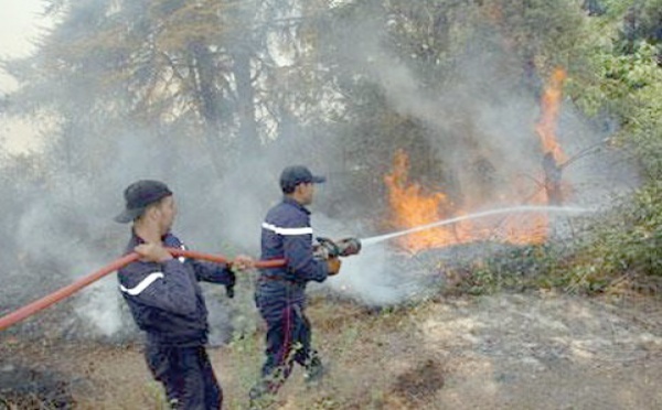 Feu de forêt à Amskroud