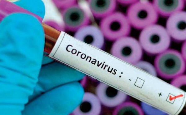 Relance économique et vaccins au menu d’ une réunion entre l’Afrique et la Banque mondiale