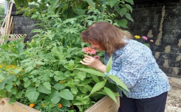 Un jardin pour les réfugiés, comme à "la maison"