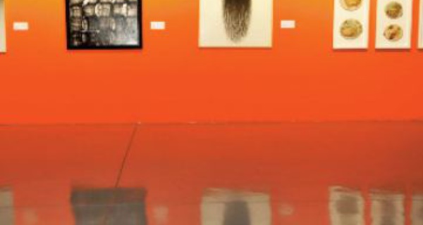 Culture muséale: La FNM expose ses acquisitions en partenariat avec le ministère de la Culture