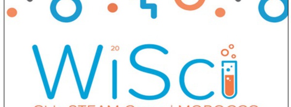 Le programme de formation “WiSci girls STEAM camp ” à distance du 9 au 20 août