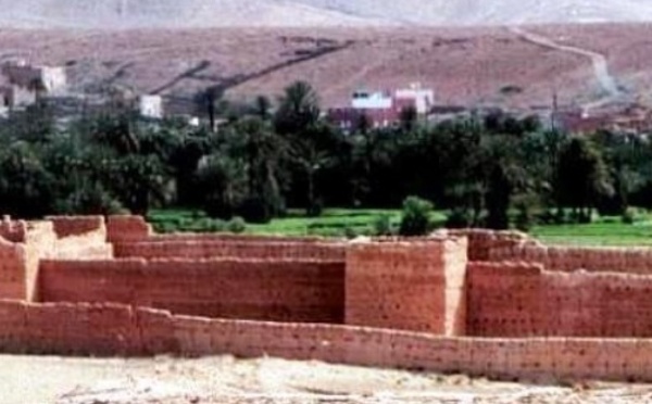 Les chiens errants menacent le village d’Ifrane