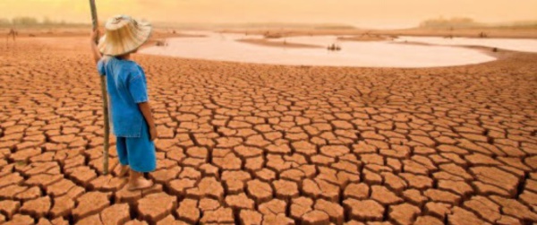 Un milliard de chérubins sous menace de par le monde