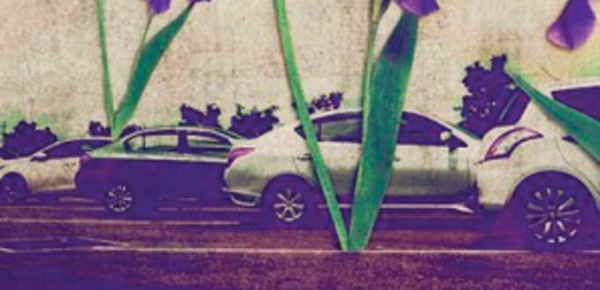 Le Maroc prend part au Festival international du film d'Amman