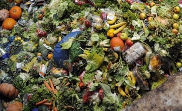 Le gaspillage alimentaire porte préjudice à l’écologie