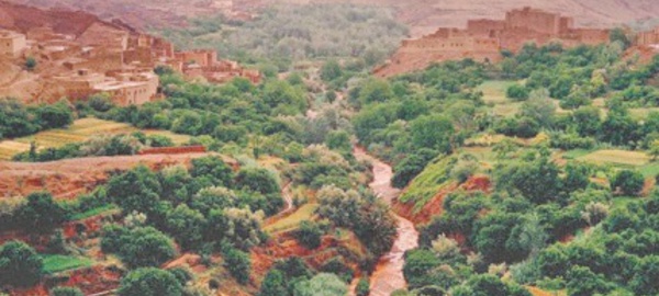 La bataille de Boufekrane, une épopée épique dans la lutte pour l'indépendance