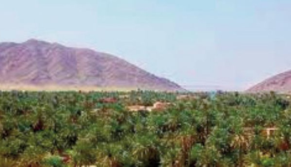 "Terre de mon pays" , une œuvre riche en symboles